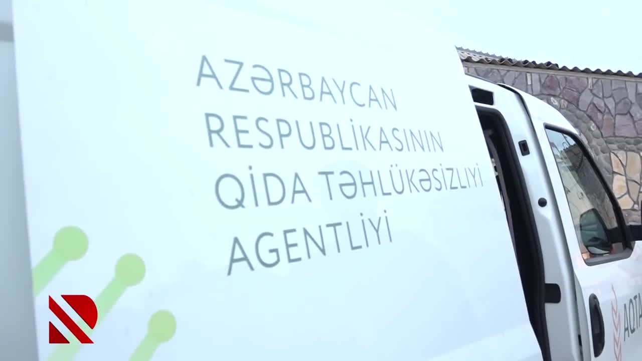 Rənglənən “kənd çolpaları”