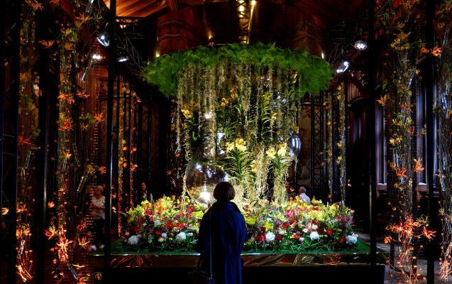 Brüssel rəngarəng güllərə qərq oldu