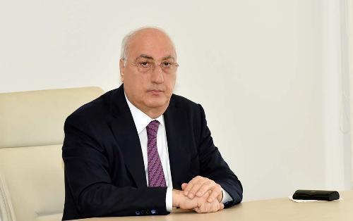 Ağaclar kütləvi şəkildə kəsildi