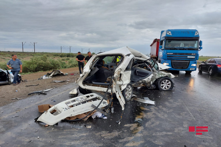 Qarğa turistin pulunu oğurladı