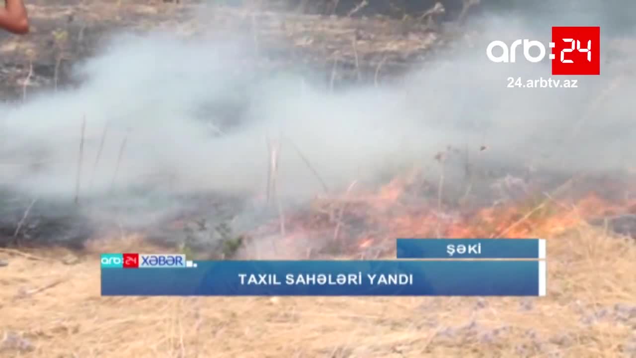Yanğın hektarlarla ərazini yararsız hala salıb