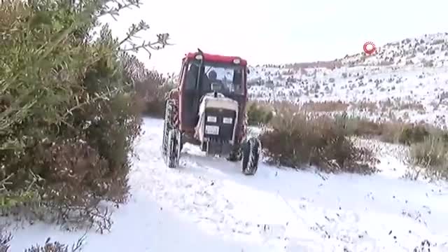 40 ildi mağarada yaşayan şəxsə sürpriz ad günü